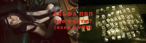 мяу мяу мука Елабуга