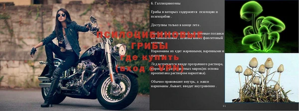 таблы Алексин