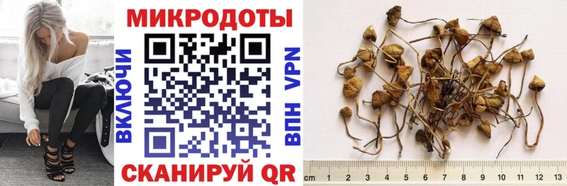 Галлюциногенные грибы MAGIC MUSHROOMS  Балашиха 